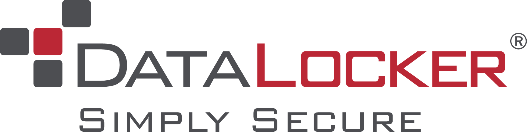 DataLocker DL3 Encrypted Drive | DataLocker Inc.