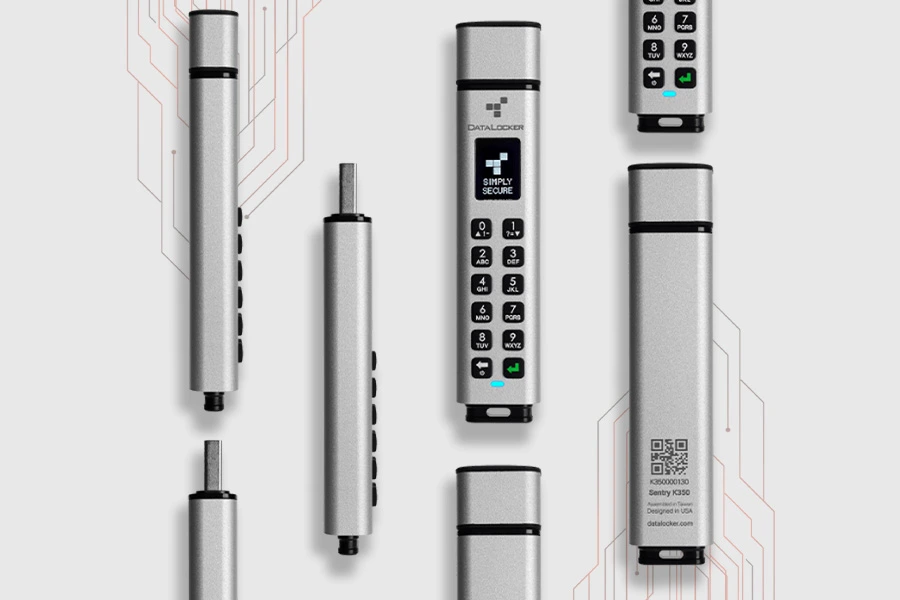 DataLocker secure hardware solutions with encrypted USB flash drives for portable data security.